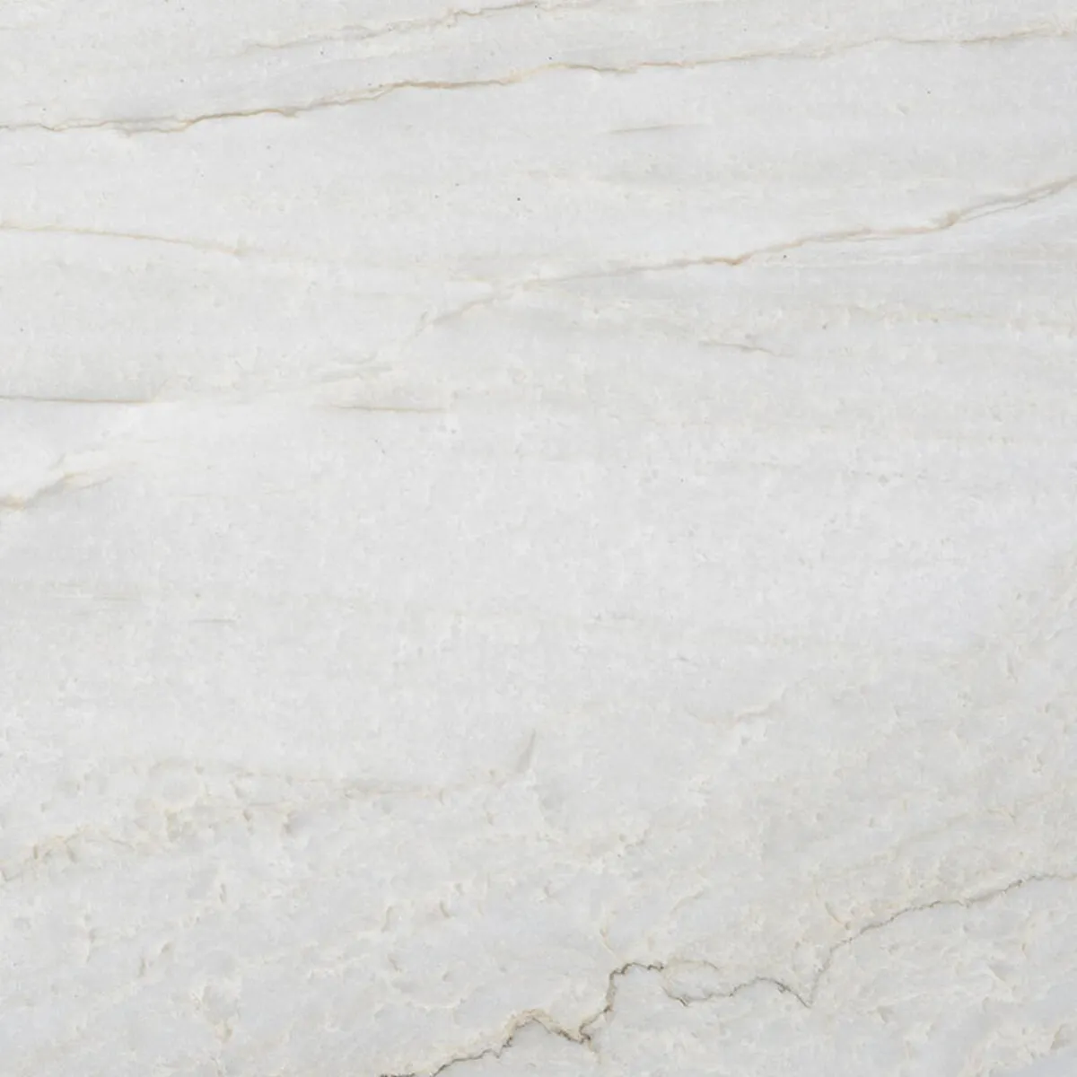 Closeup image of Denali White Quartzite countertop slab
