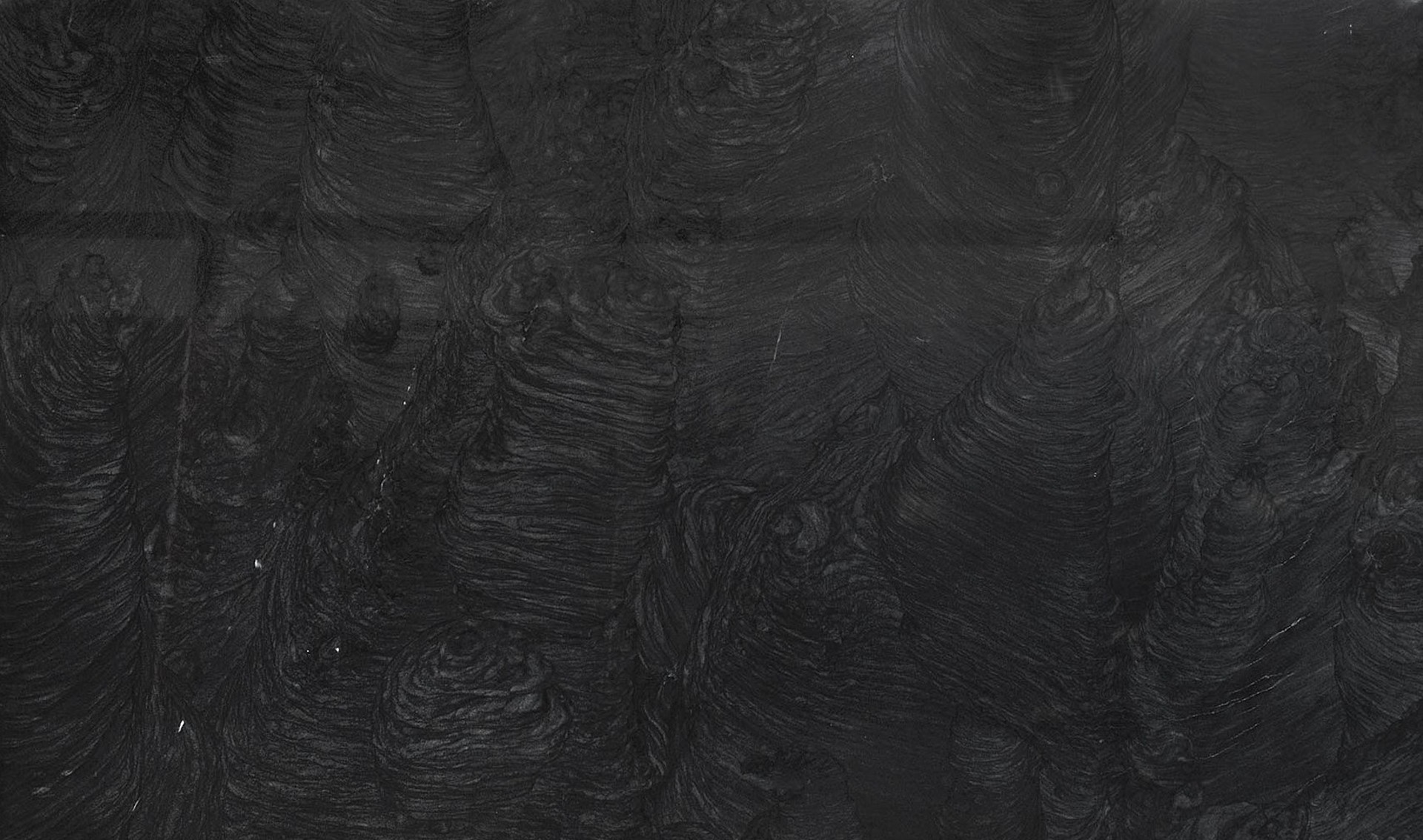Image of Platinum Black Quartzite countertop slab