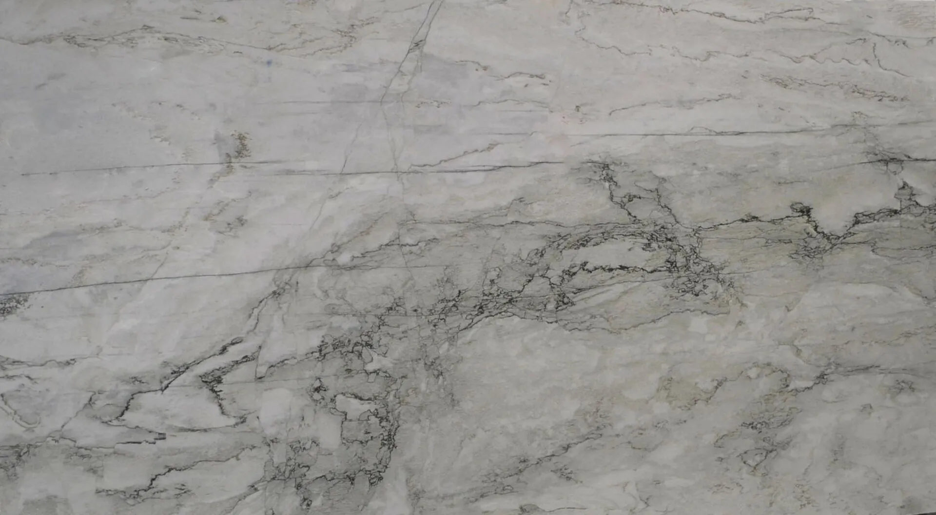 Image of Sea Pearl Quartzite countertop slab