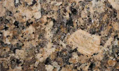 Closeup image of Giallo Fiorito Granite countertop slab