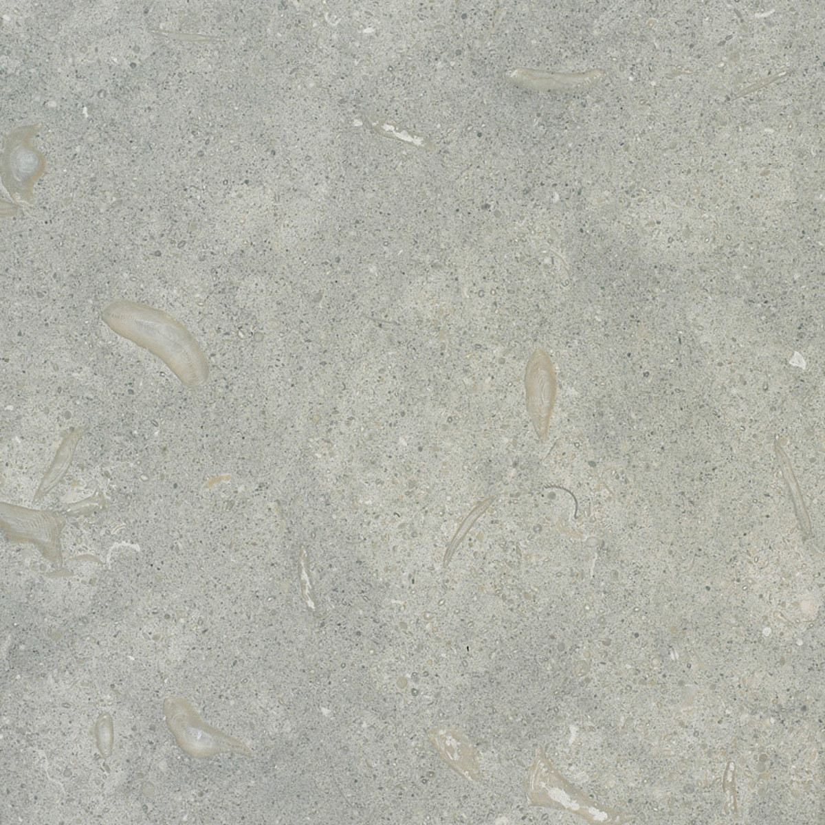 Closeup image of Sea Grass Grey Limestone countertop slab