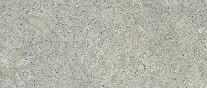 Closeup image of Sea Grass Grey Limestone countertop slab