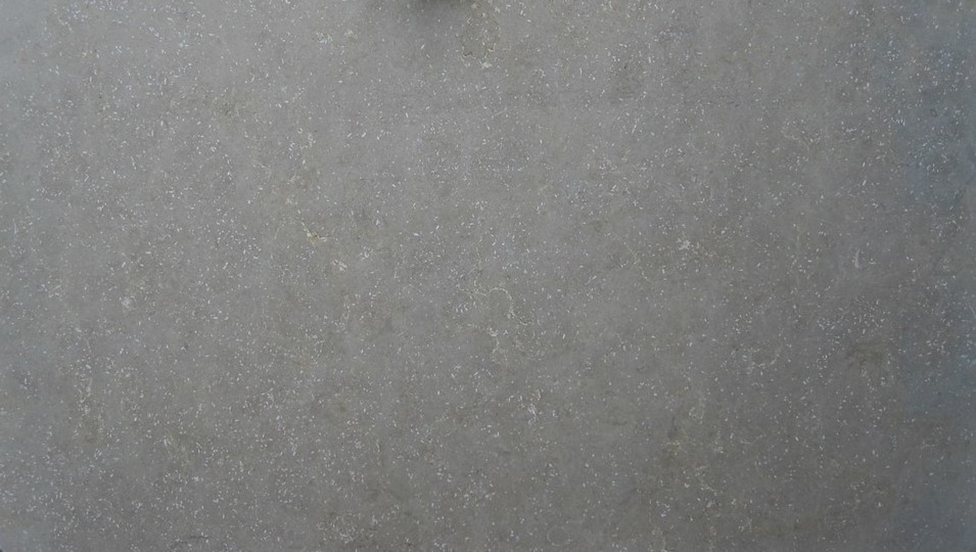 Image of Sea Grass Grey Limestone countertop slab