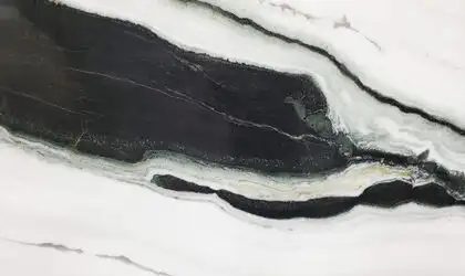 Closeup image of Panda White Marble countertop slab