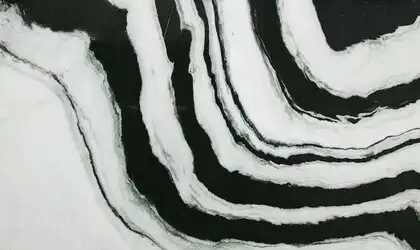 Image of Panda White Marble countertop slab