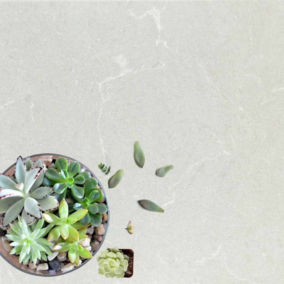 Image of installed Vicostone Grey Savoie Quartz countertops