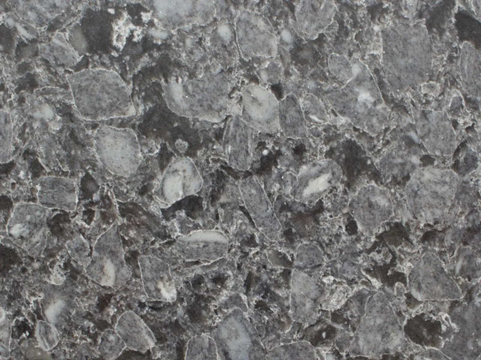 Closeup image of Vicostone Squalo Quartz countertop slab