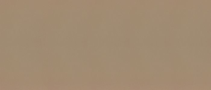 Image of Vicostone Marram Brown Quartz countertop slab