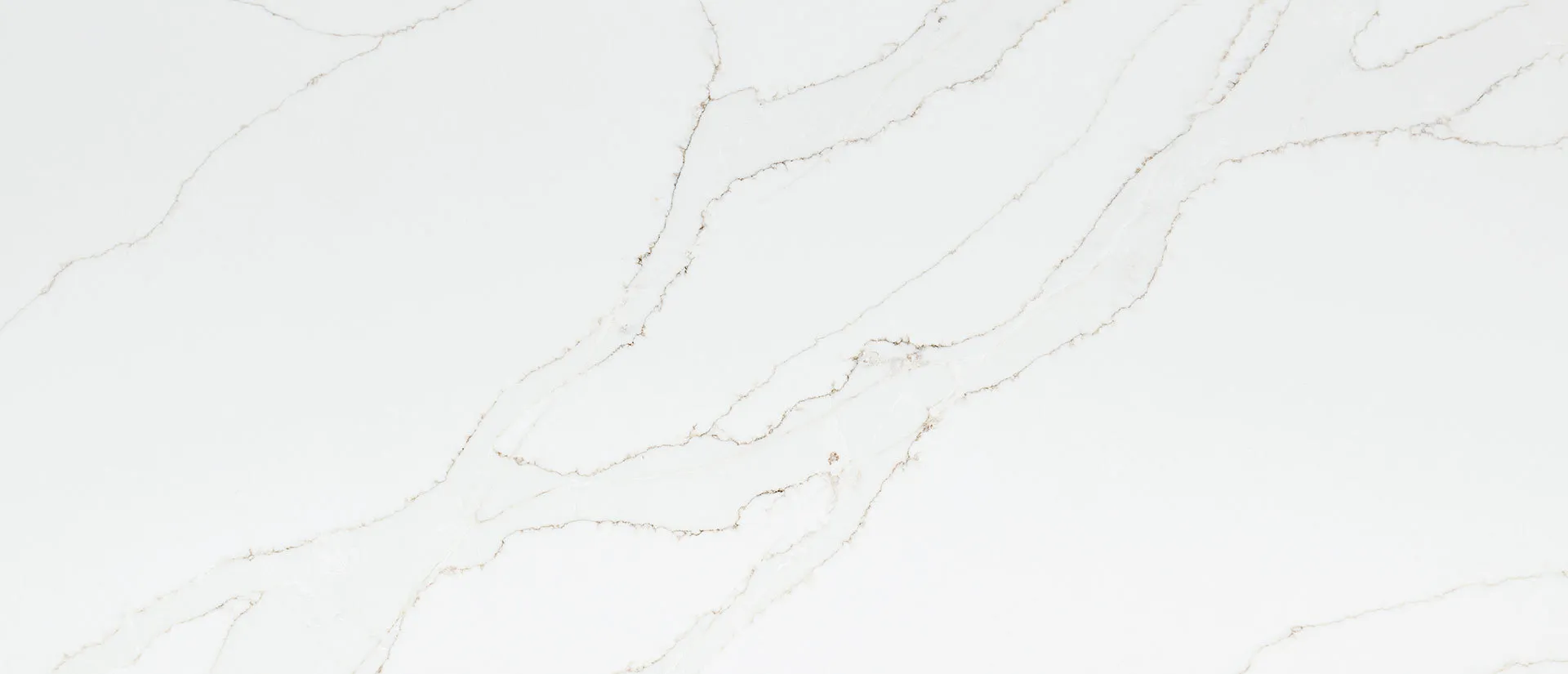 Closeup image of Q Quartz Calacatta Izaro White Quartz countertop slab