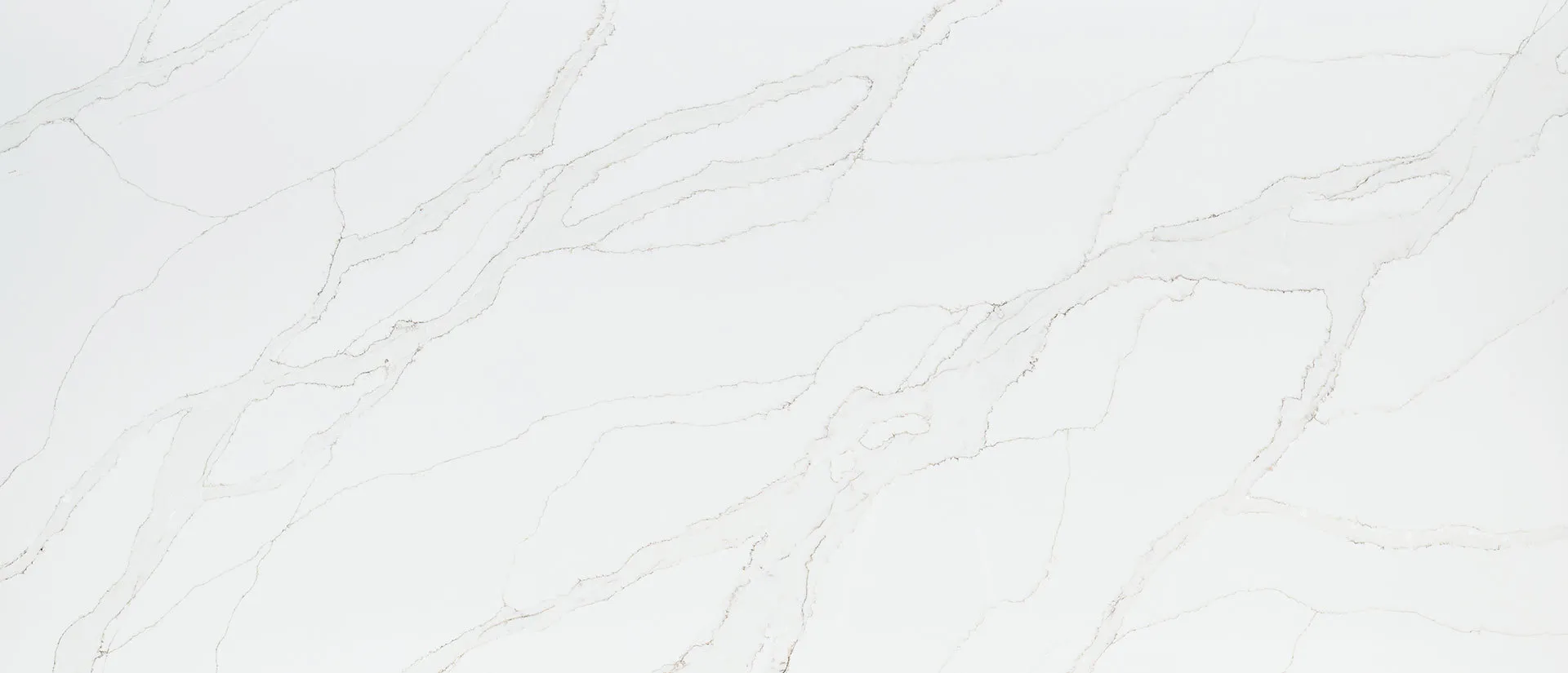 Image of Q Quartz Calacatta Izaro White Quartz countertop slab