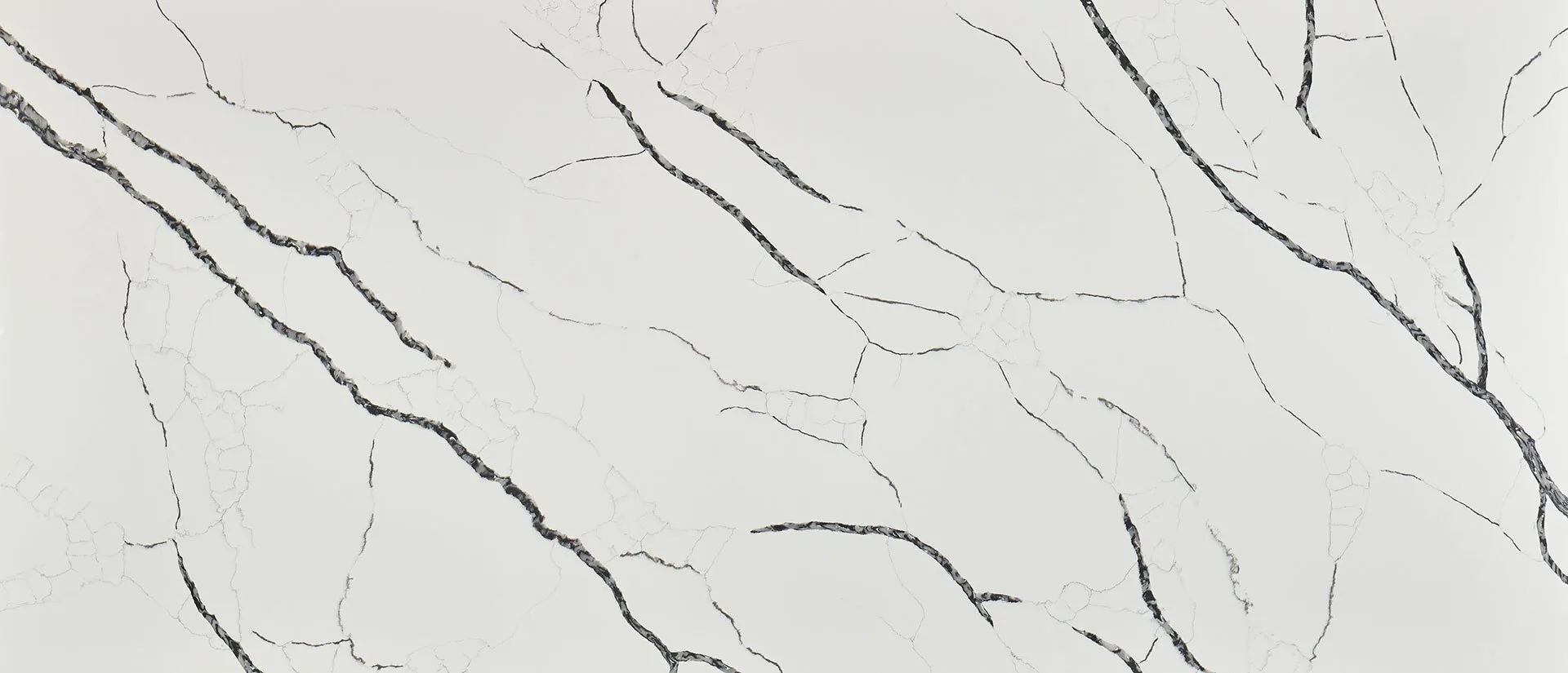 Image of Q Quartz Calacatta Laza Night White Quartz countertop slab