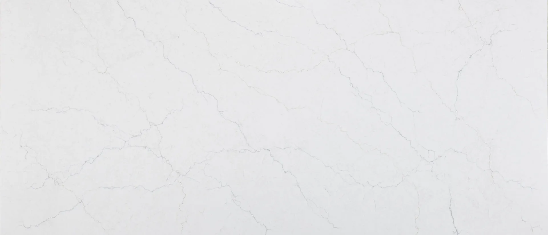 Image of Q Quartz Calacatta Miraggio Duo White Quartz countertop slab
