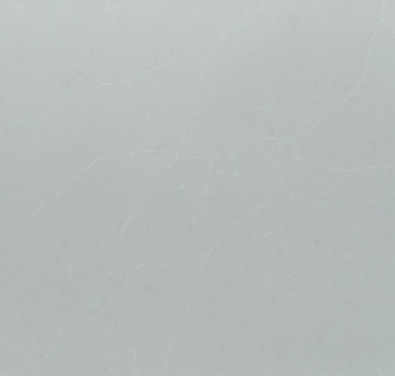 Closeup image of Vicostone Delicato White Quartz countertop slab
