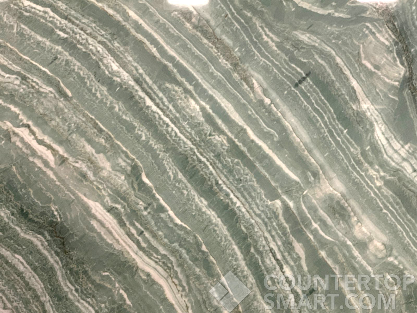 Closeup image of Vivid Green Grey Quartzite countertop slab