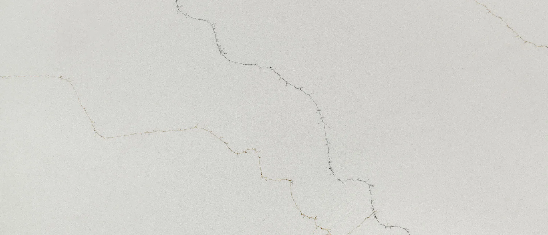 Closeup image of Q Quartz Calacatta Duolina White Quartz countertop slab