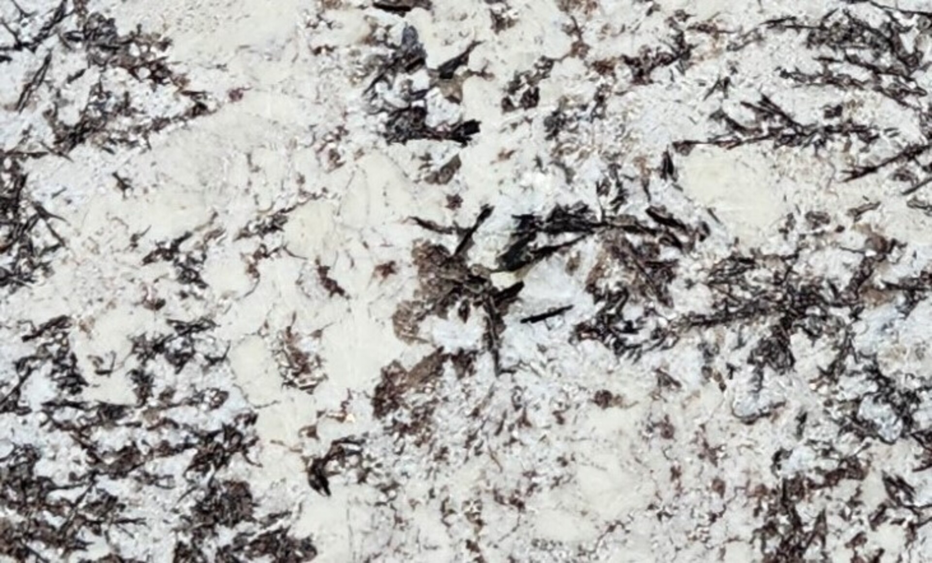 Closeup image of White Orion White Granite countertop slab