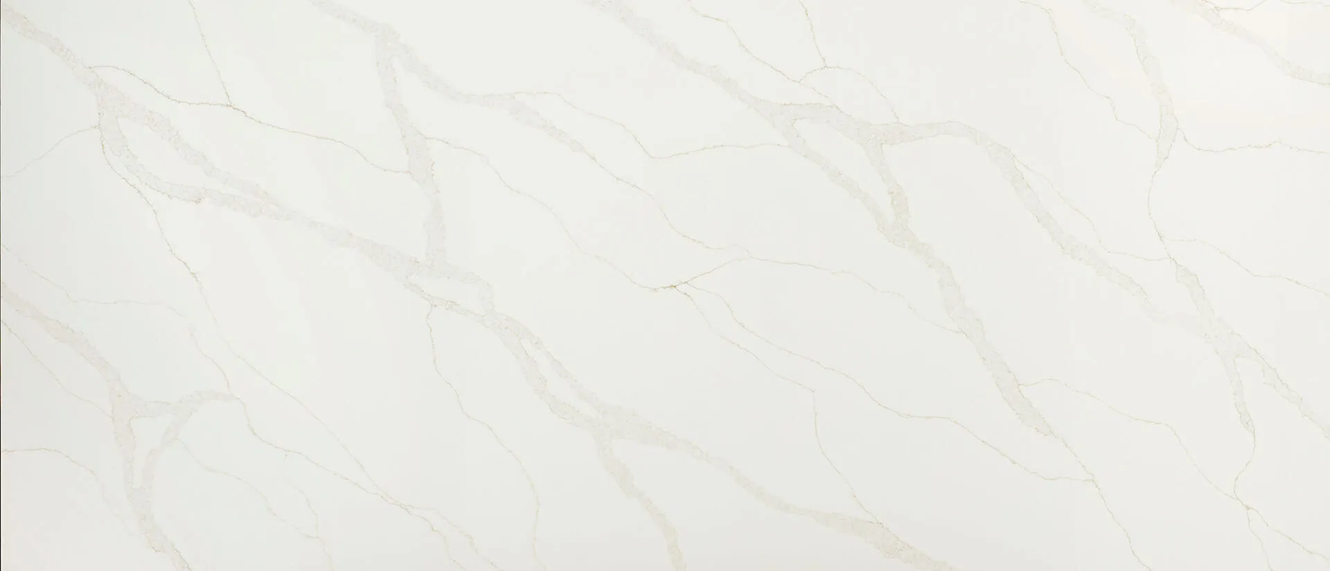 Image of Q Quartz Calacatta Elysio White Quartz countertop slab