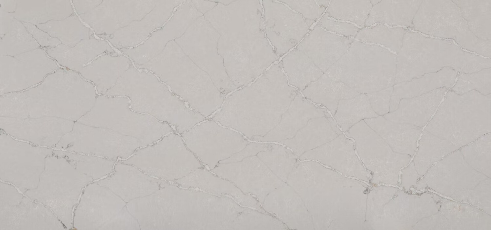 Image of Silestone Victorian Silver Grey Quartz countertop slab