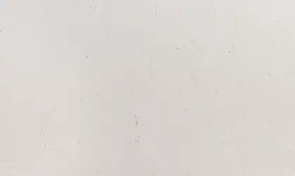Image of Q Quartz Carrara Trigato White Quartz countertop slab