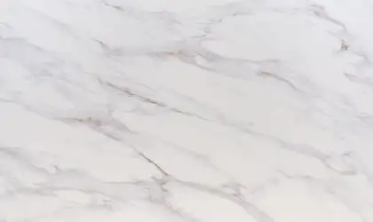 Image of Q Quartz Calacatta Castana White Quartz countertop slab