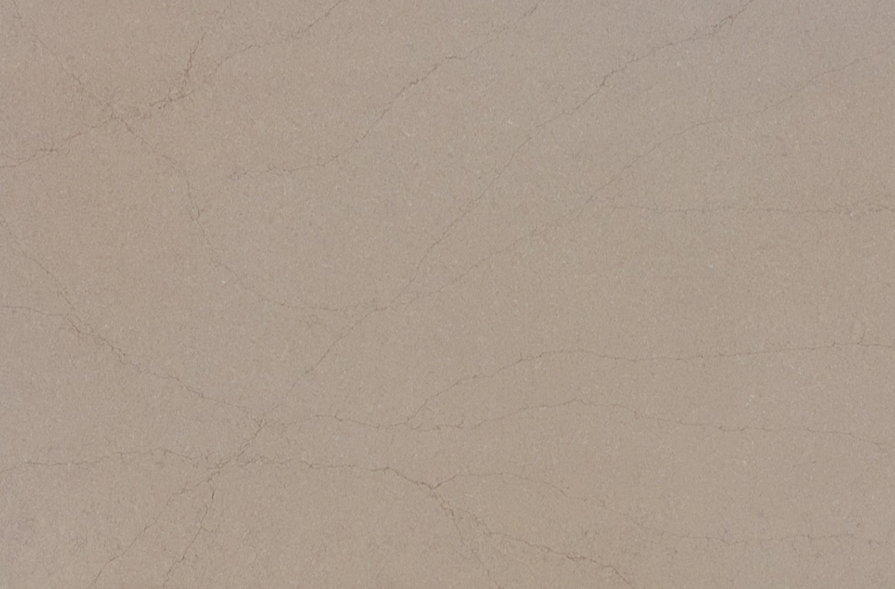Image of Daltile Capital Beige Black Quartz countertop slab