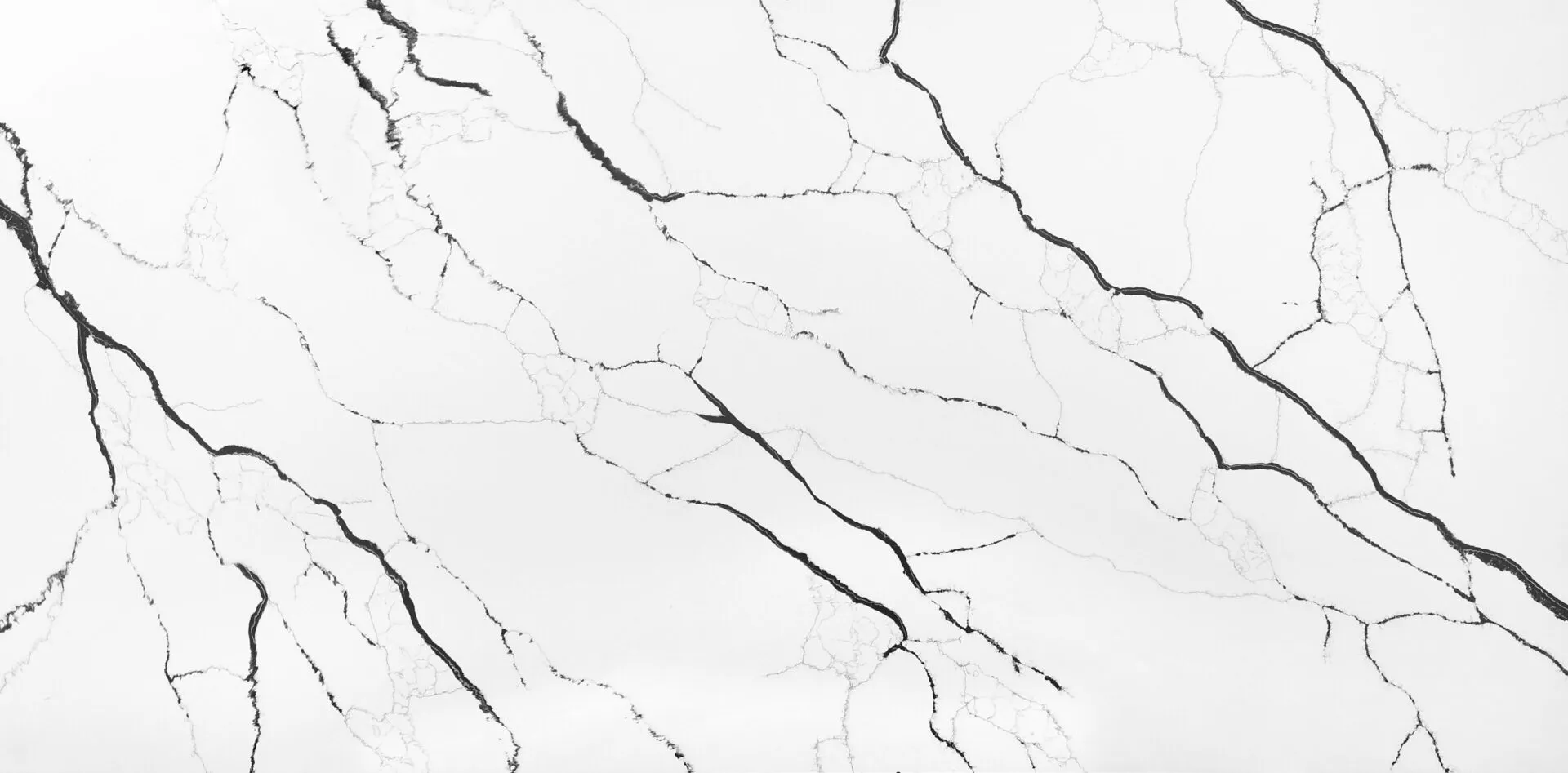 Image of PentalQuartz Lux Noir White Quartz countertop slab