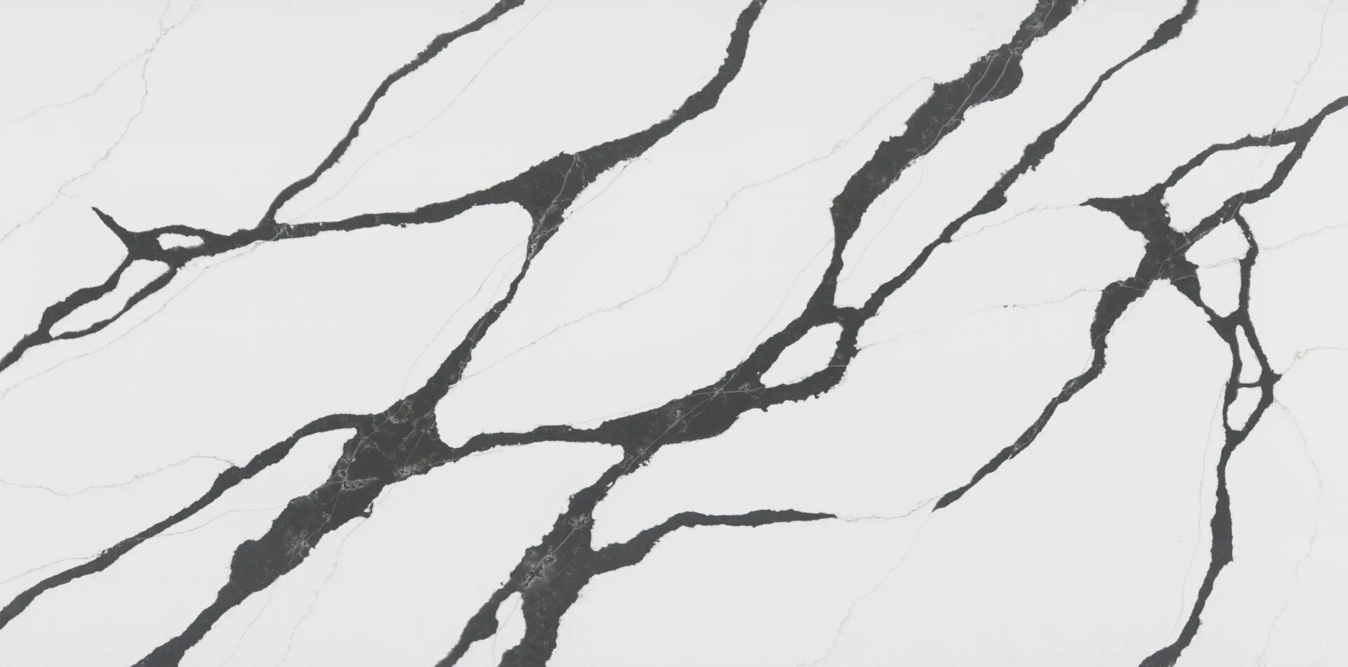 Image of PentalQuartz Stella Black White Quartz countertop slab