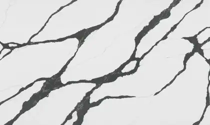 Image of PentalQuartz Stella Black White Quartz countertop slab