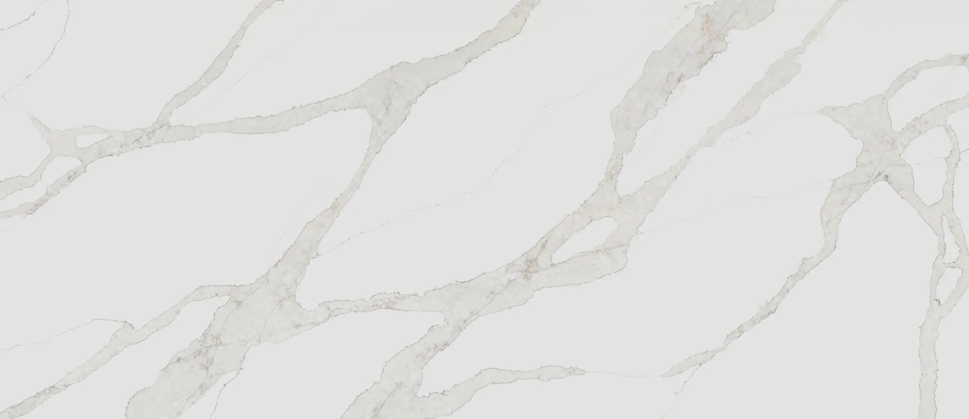 Closeup image of PentalQuartz Stella Caldia White Quartz countertop slab