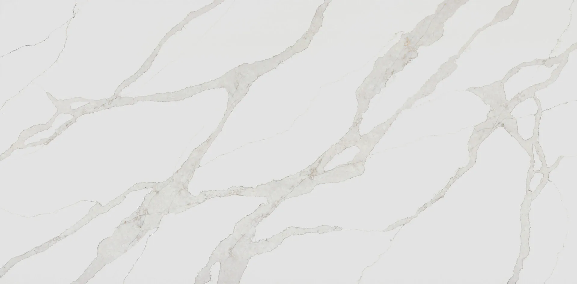 Image of PentalQuartz Stella Caldia White Quartz countertop slab