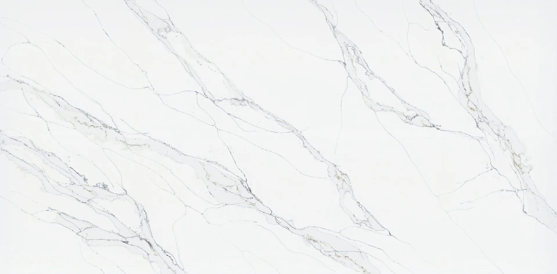 Image of PentalQuartz Unique Calacatta Macchia Vecchia White Quartz countertop slab