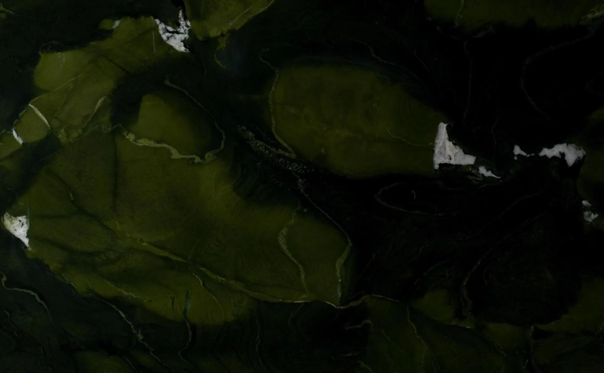 Closeup image of Avocatus Quartzite Green Quartzite countertop slab
