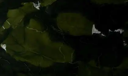 Closeup image of Avocatus Quartzite Green Quartzite countertop slab