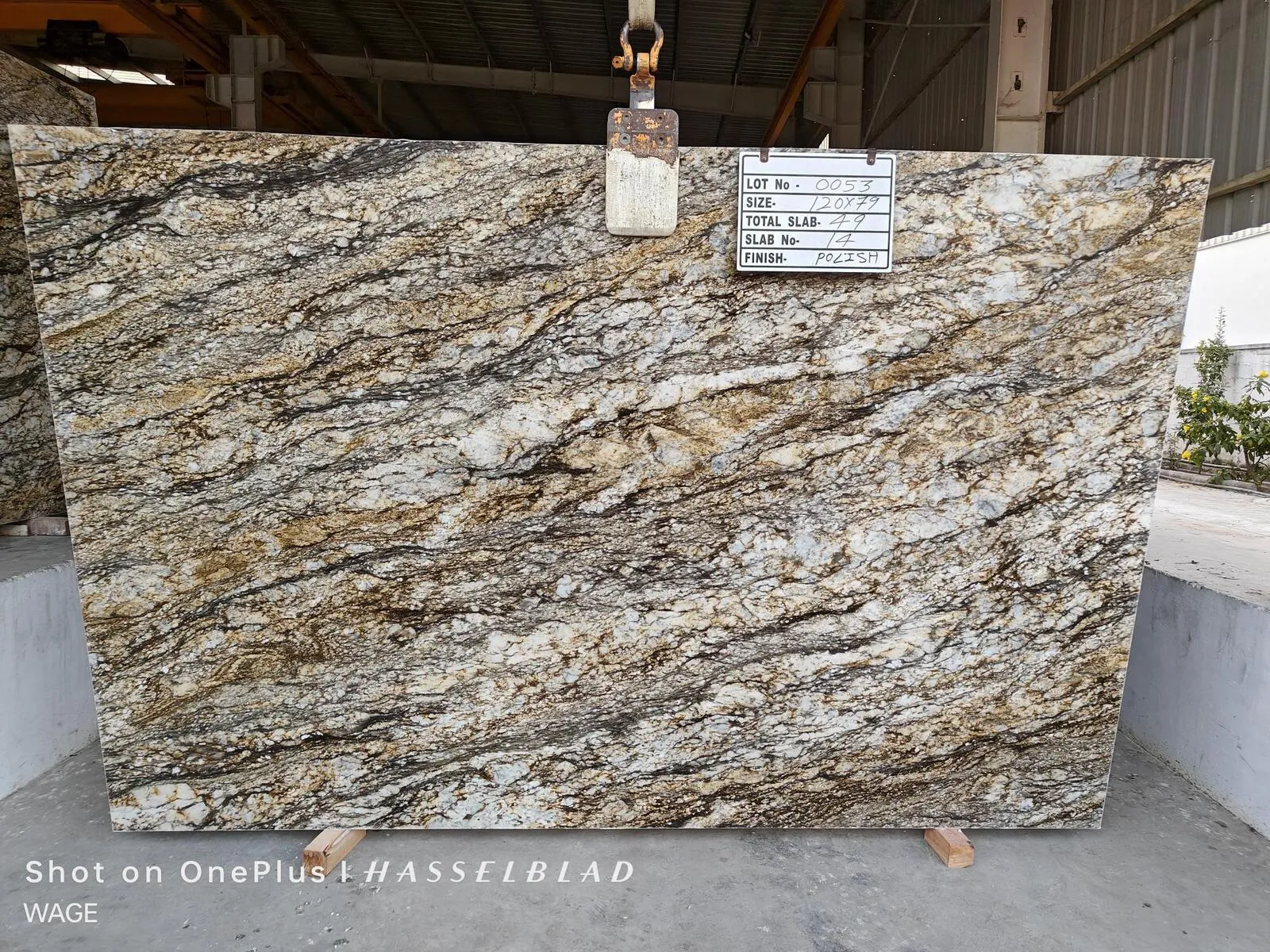 Image of Blue Dunes (Thunder Mountain 1st Choice) Brown Granite countertop slab