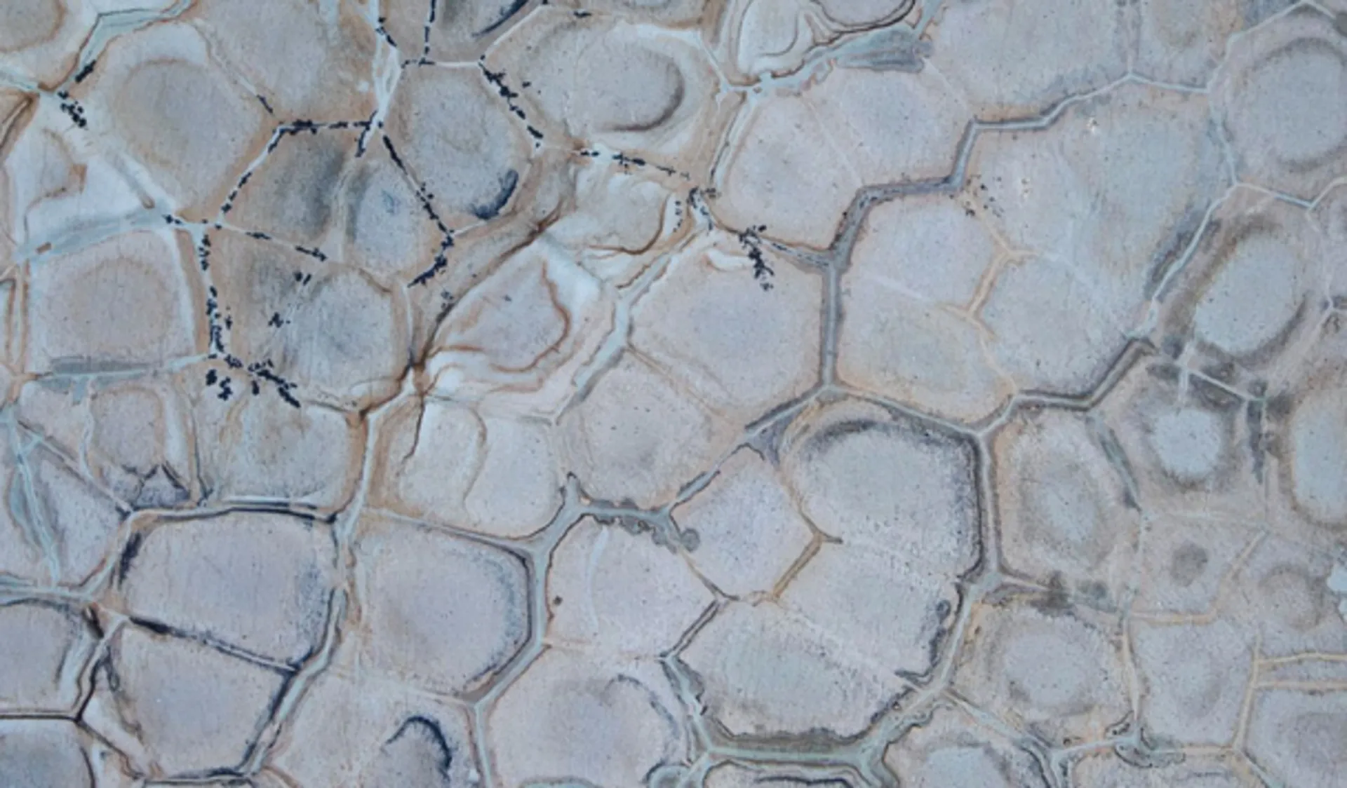 Closeup image of Brazilian Fossil 1st Choice Grey Quartzite countertop slab