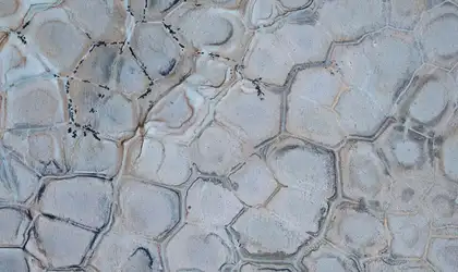 Closeup image of Brazilian Fossil 1st Choice Grey Quartzite countertop slab