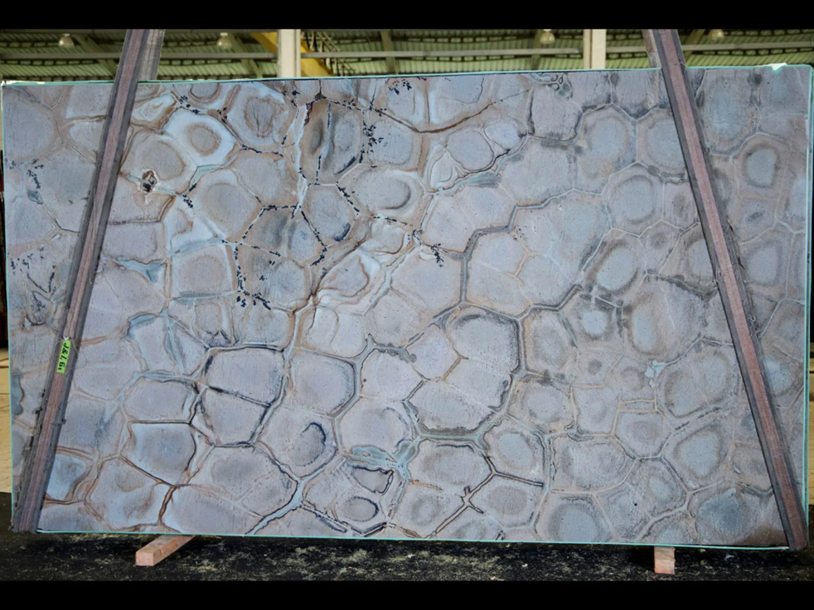 Image of Brazilian Fossil 1st Choice Grey Quartzite countertop slab