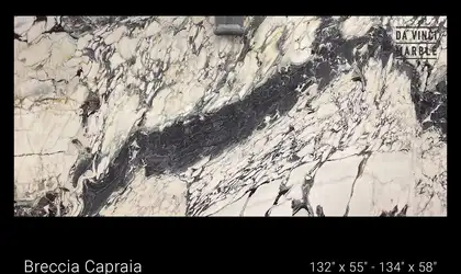 Image of Breccia Capraia White Marble countertop slab