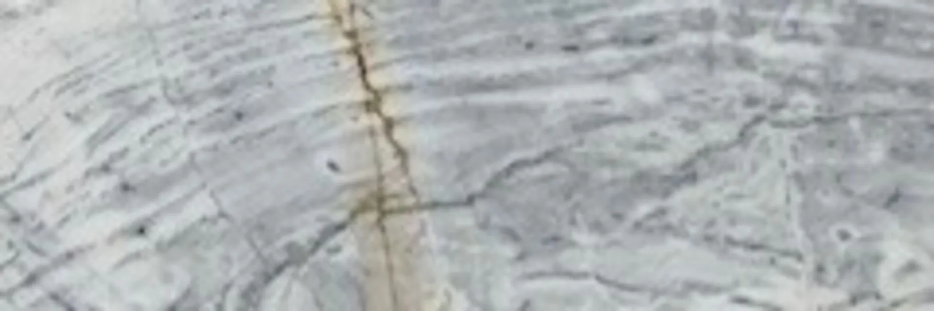 Closeup image of Calacatta Picasso Grey Marble countertop slab