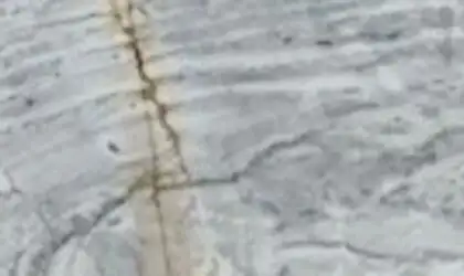 Closeup image of Calacatta Picasso Grey Marble countertop slab