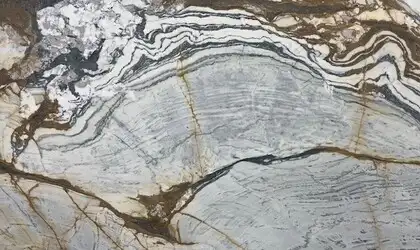 Image of Calacatta Picasso Grey Marble countertop slab
