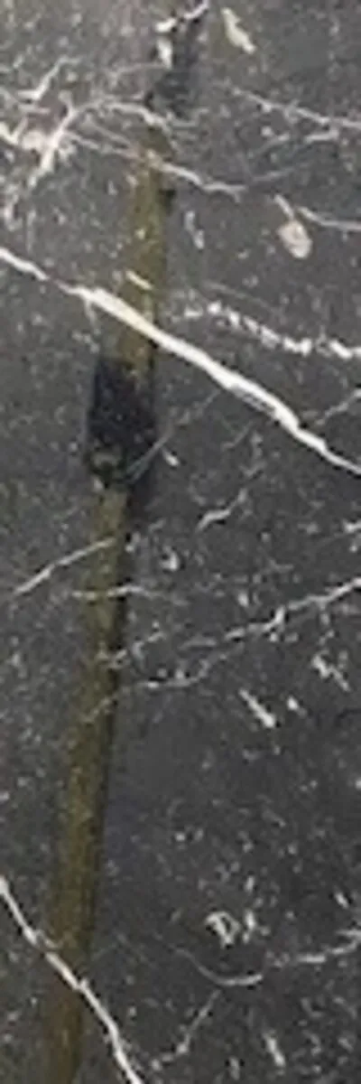 Closeup image of Negro Marquina 1st Choice Black Marble countertop slab