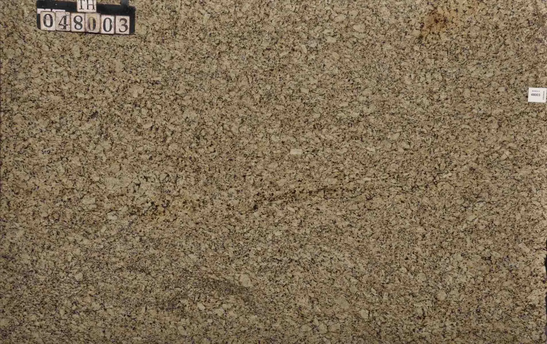 Closeup image of New Venetian Ice Beige Granite countertop slab