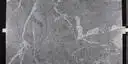 Image of Beauty Dark 1st Choice Grey Granite countertop slab