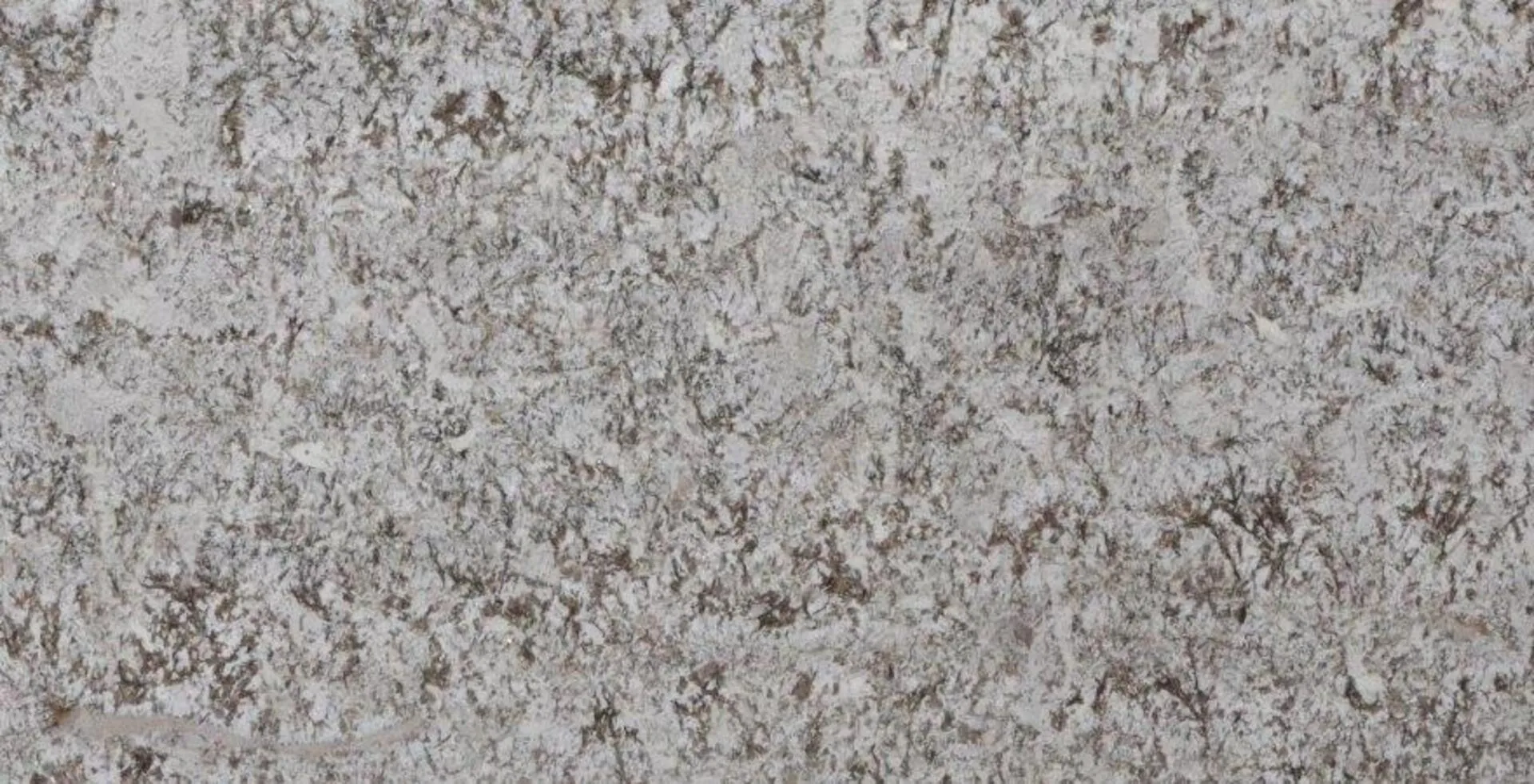 Closeup image of Bianco Antico 1st Choice Cream Granite countertop slab